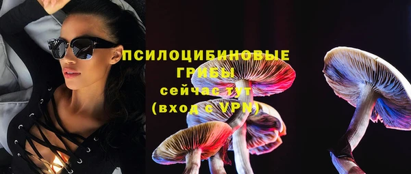 мдпв Пролетарск