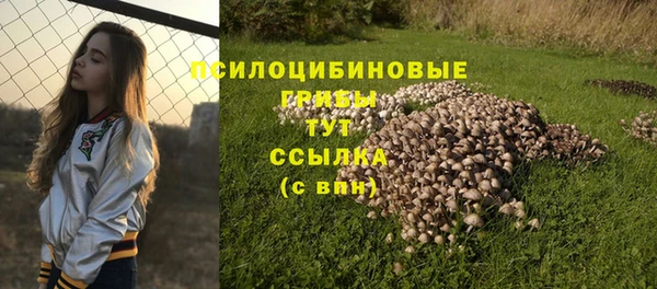 мдпв Пролетарск