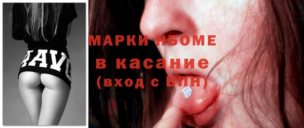 дмт Протвино