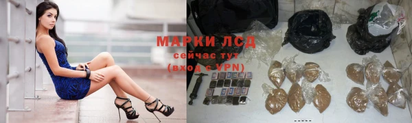 дмт Протвино