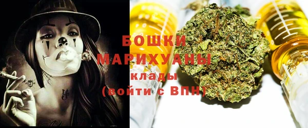 дмт Протвино