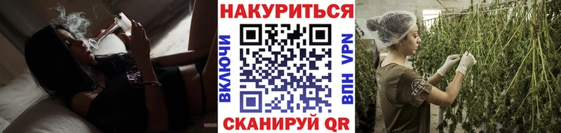 Каннабис OG Kush  Бабаево 